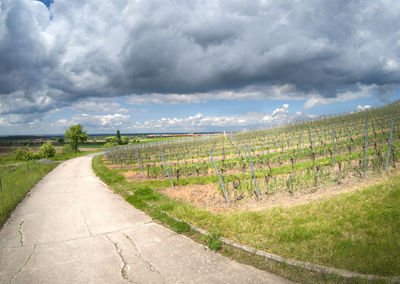 Road amidst field against sky