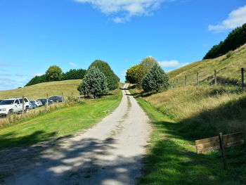 Country road passing through grassy field