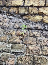 Full frame shot of wall