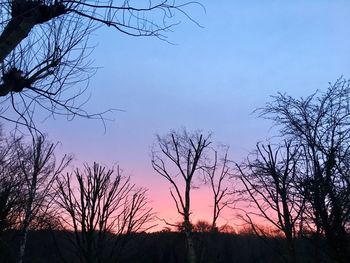 Low angle view of silhouette bare trees against sky