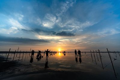 Silhouette people on wooden post by sea against sky during sunset