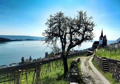 Aglise de ligerz by vineyard against sky