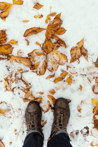 Low section of person on snowy footpath