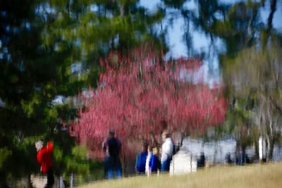 Rear view of people walking outdoors
