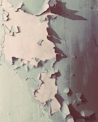 Close-up of peeled wall