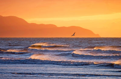 Scenic view of sea at sunset