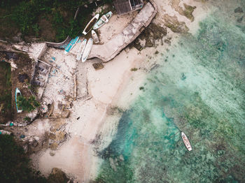 High angle view of trees on beach