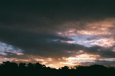 Low angle view of silhouette trees against sky during sunset