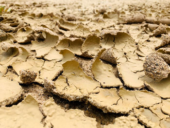 Full frame shot of cracked land