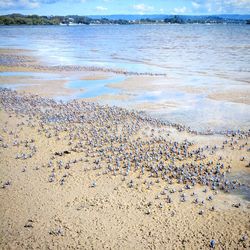 High angle view of beach