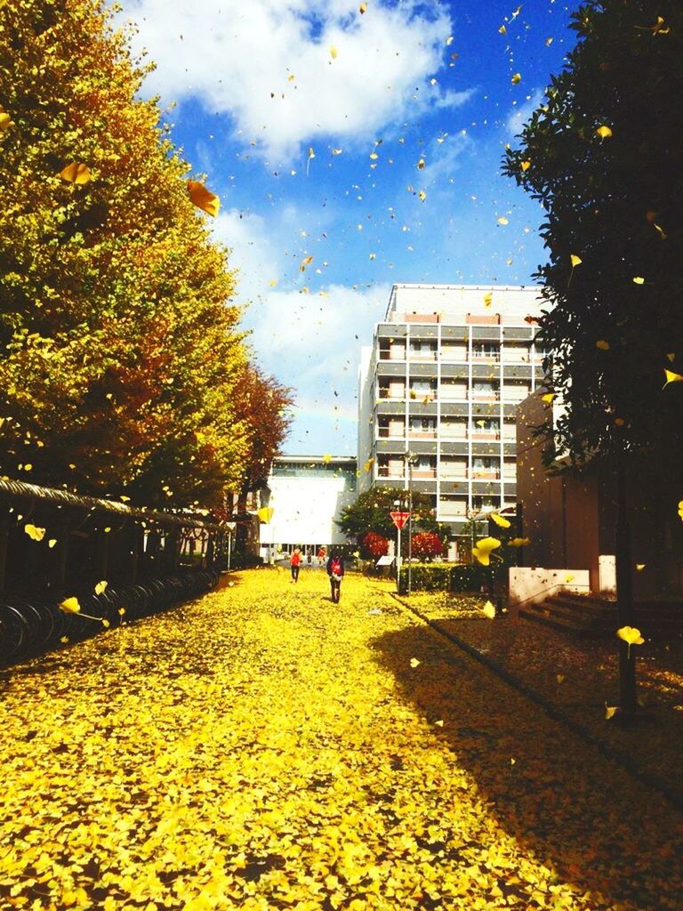 building exterior, autumn, sky, architecture, built structure, tree, season, change, city, cloud - sky, yellow, water, reflection, street, leaf, day, cloud, nature, wet, outdoors