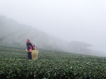 Woman with basket amidst tea crops during foggy weather