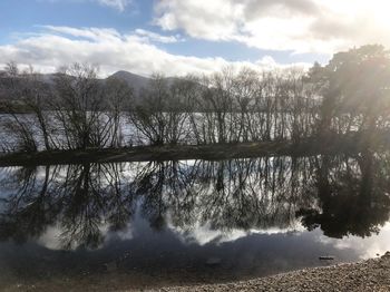 Reflection of trees in lake against sky