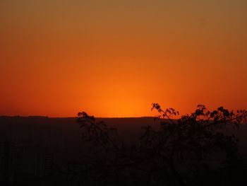 Silhouette bird on landscape against orange sky