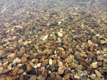 Full frame shot of stones