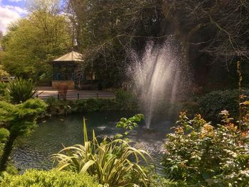 Fountain against trees and plants