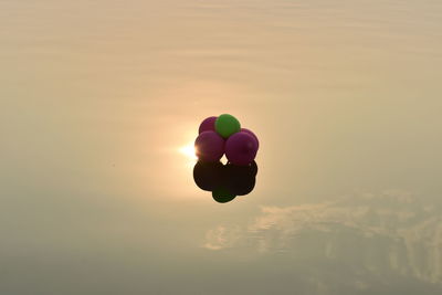 Multi colored balloons against sky during sunset