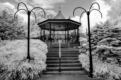View of street light and plants in winter