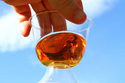 Close-up of hand holding glass of drink against sky