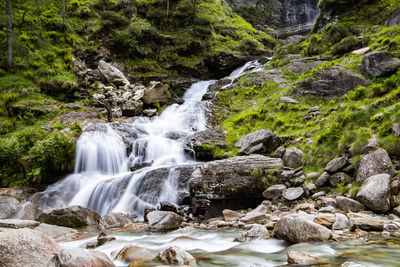 Scenic view of waterfall in forest