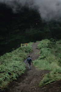 Rear view of man walking on field