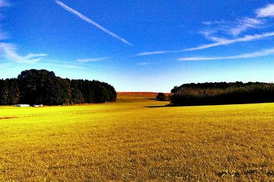 Scenic view of field against cloudy sky