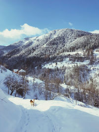 Scenic view of snow covered mountains against sky