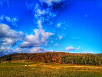 Scenic view of field against sky