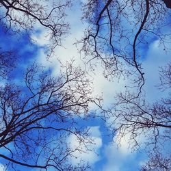 Close-up of silhouette tree against sky