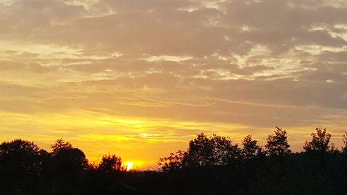 Silhouette trees against sky during sunset