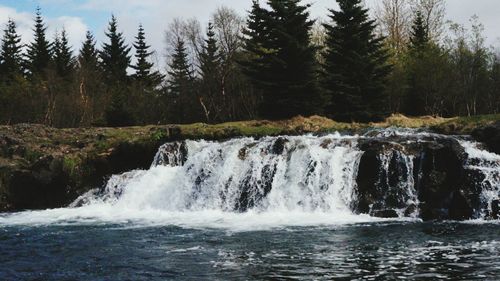 Scenic view of river flowing through forest