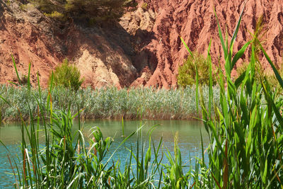 Scenic view of lake