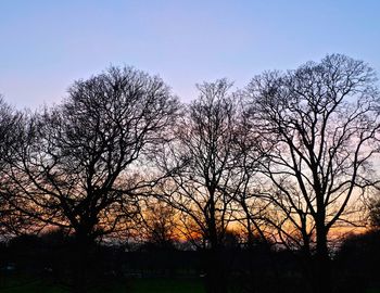 Low angle view of silhouette bare trees against sky during sunset