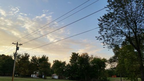 Low angle view of trees against sky