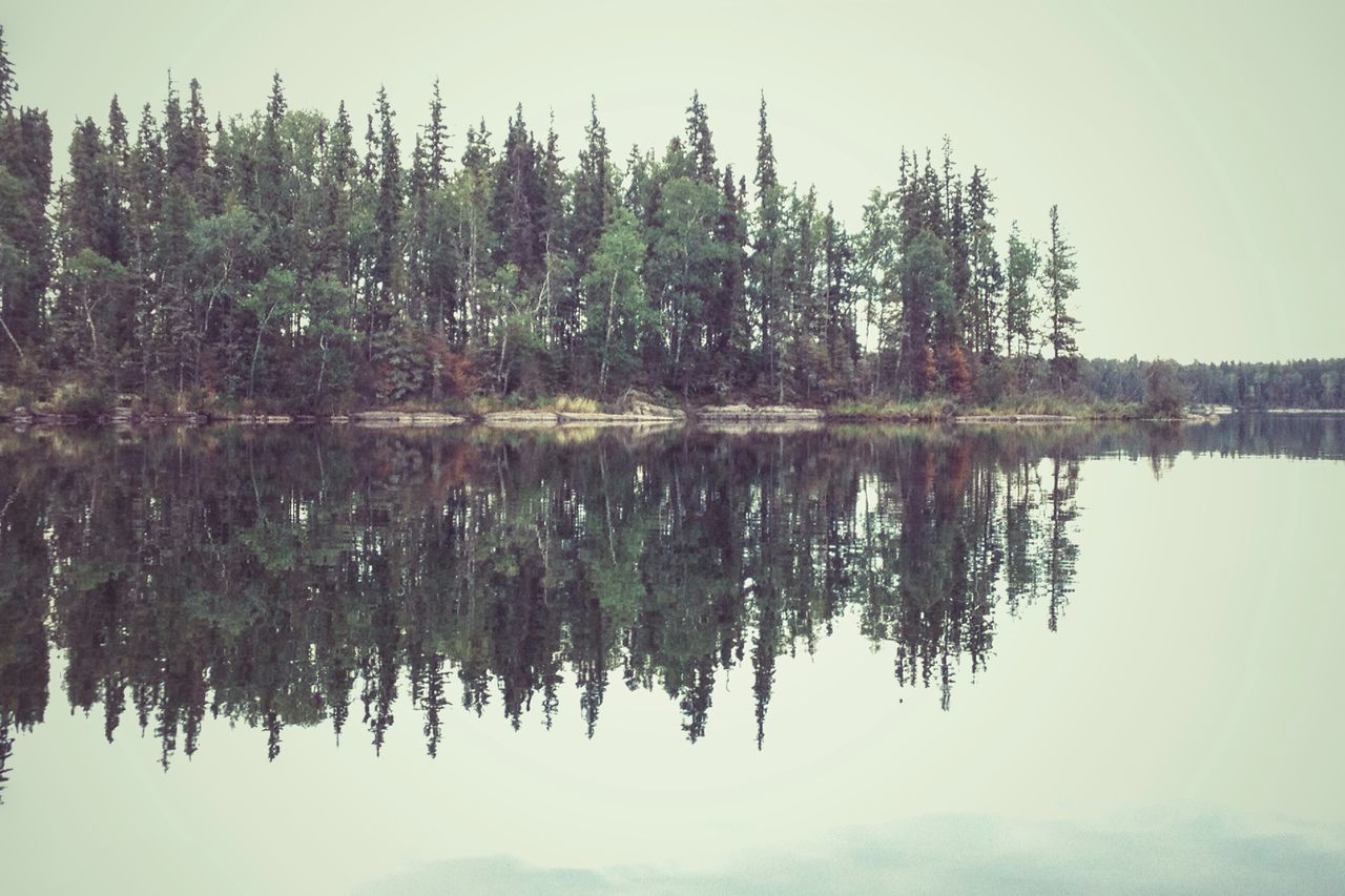 water, reflection, tranquility, lake, tranquil scene, clear sky, tree, scenics, beauty in nature, waterfront, nature, standing water, idyllic, copy space, sky, calm, day, non-urban scene, growth, outdoors