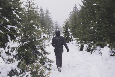 Rear view of man walking on snow covered landscape