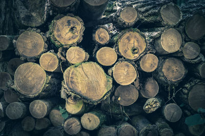 Full frame shot of logs in forest