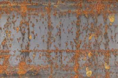 Full frame shot of rusty metal wall