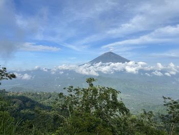 mountain