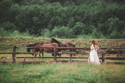 Woman standing by horses on field