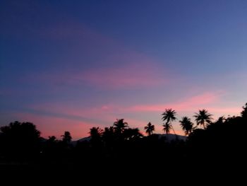 Silhouette trees against sky during sunset