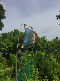 Low angle view of plants against trees against sky