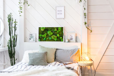 Potted plants on bed at home