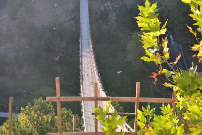 High angle view of plants by lake