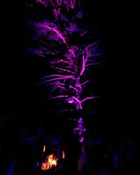 Firework display at night