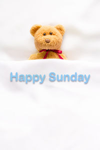 Close-up of stuffed toy against white background
