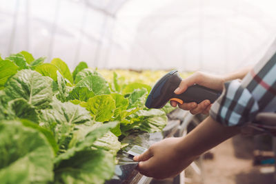 Midsection of person holding vegetables