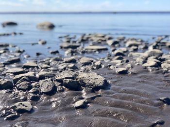 Surface level of pebble beach