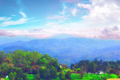 Scenic view of landscape against sky