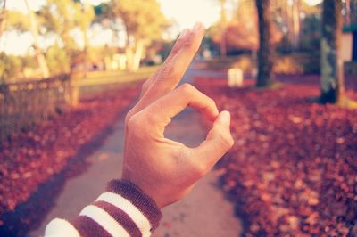 Cropped hand showing ok sign